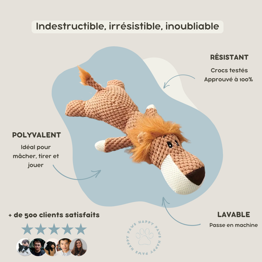 Peluche Indestructible pour Chien