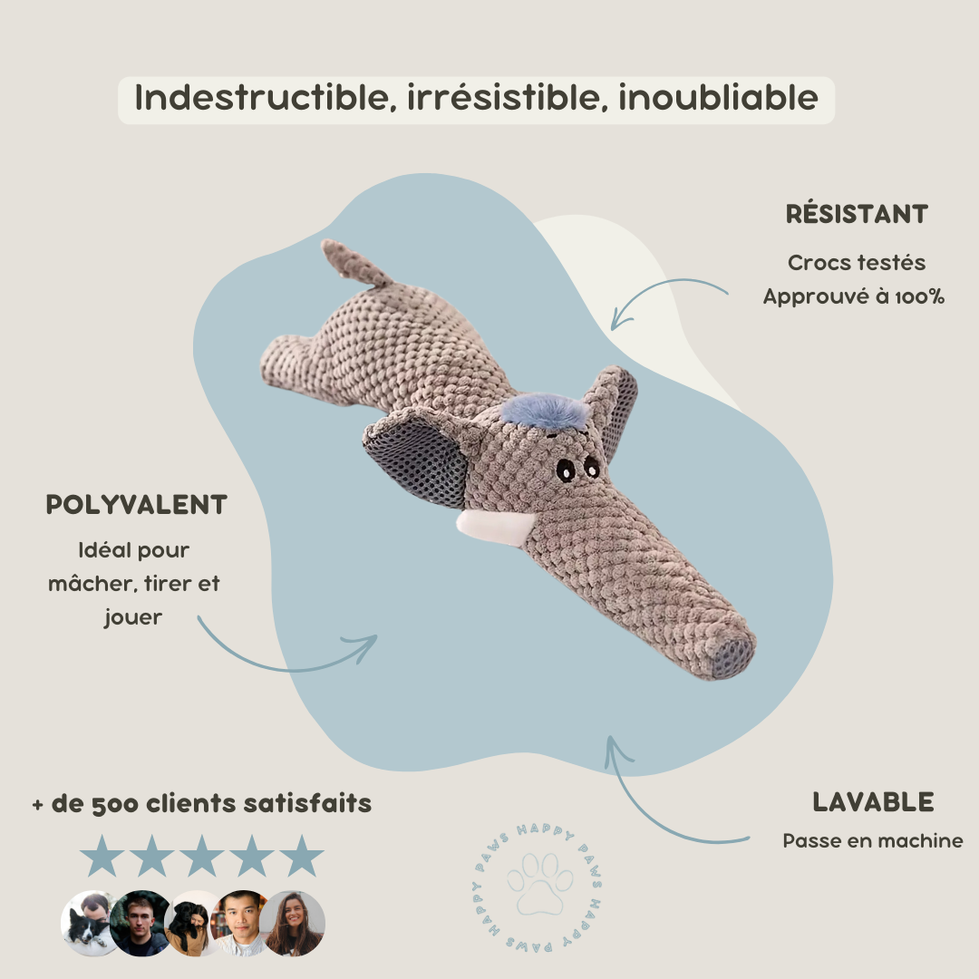 Peluche Indestructible pour Chien