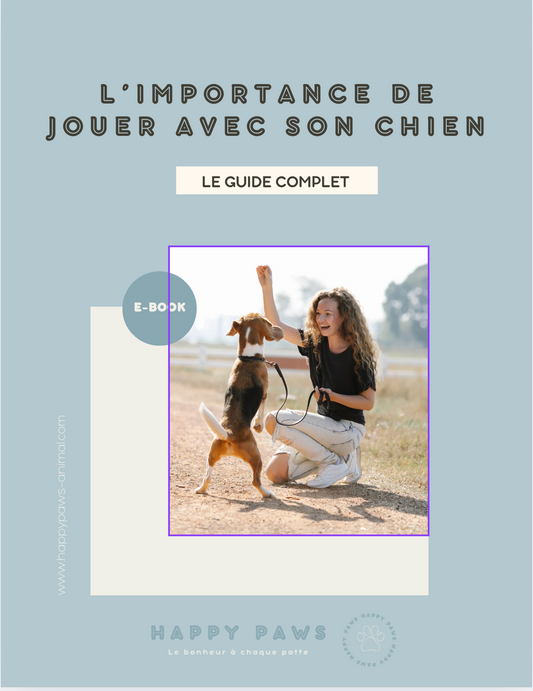 Ebook L'importance de jouer avec son chien